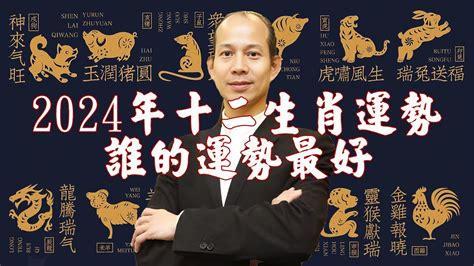 生肖龍幸運色|2024屬龍幸運色：招財納運指南 